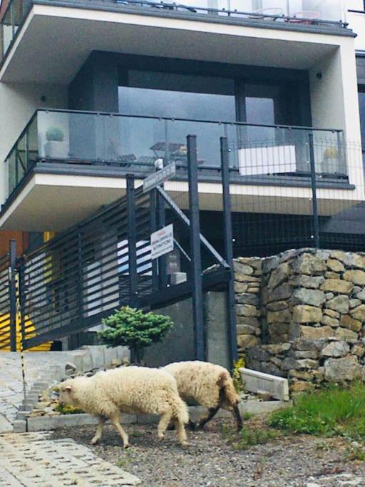 Ski & Bike Apartment Szczyrk Dış mekan fotoğraf